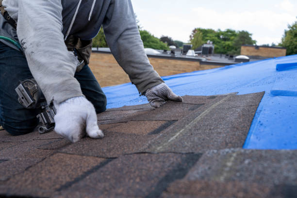 Best Storm Damage Roof Repair  in Berkley, CO